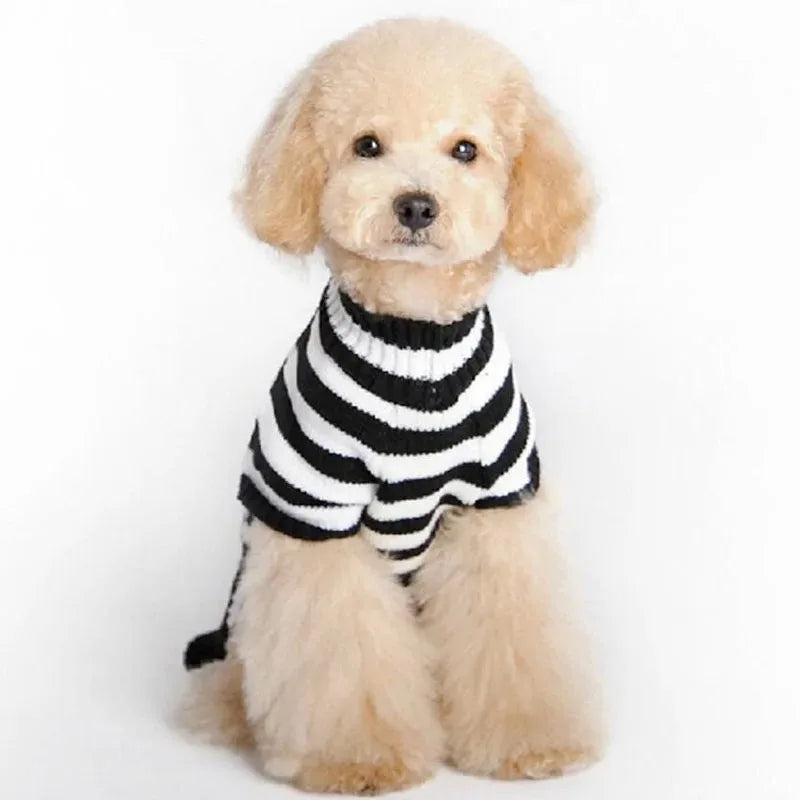 Dog and Cat Cosy Halloween Skull sweater