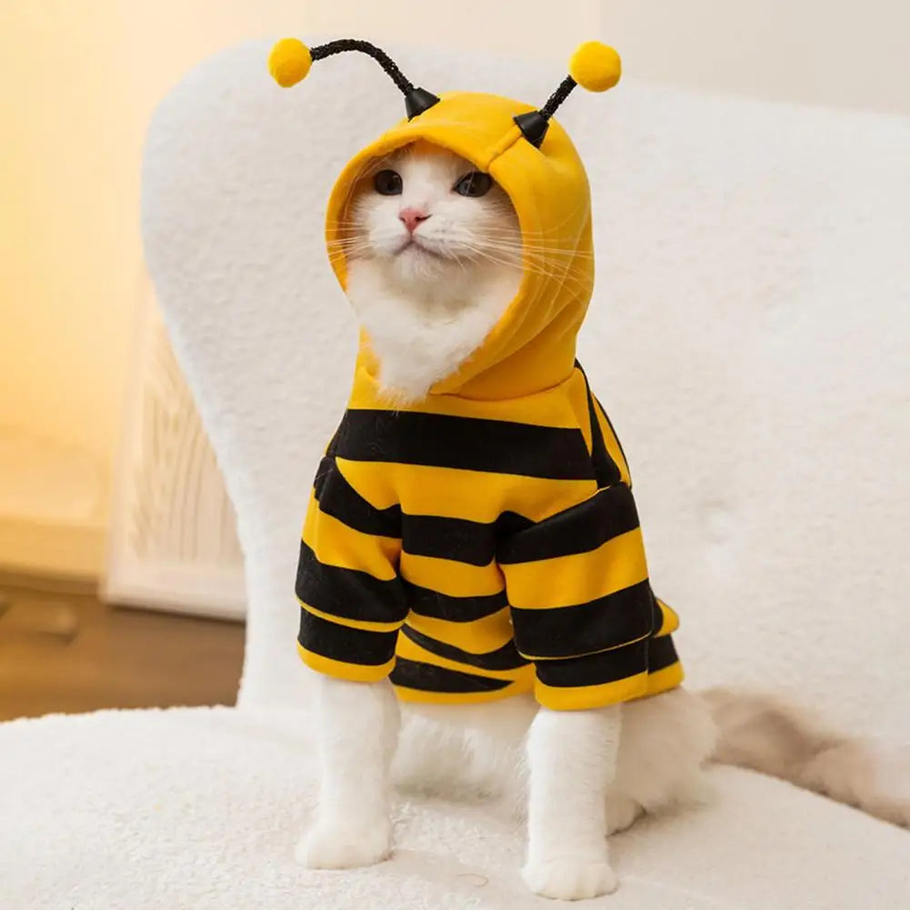 Cat and Dog Halloween Bee Costume
