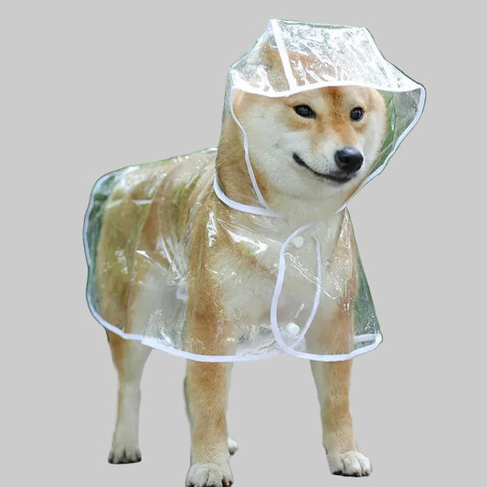 Dog Transparent Waterproof Jacket