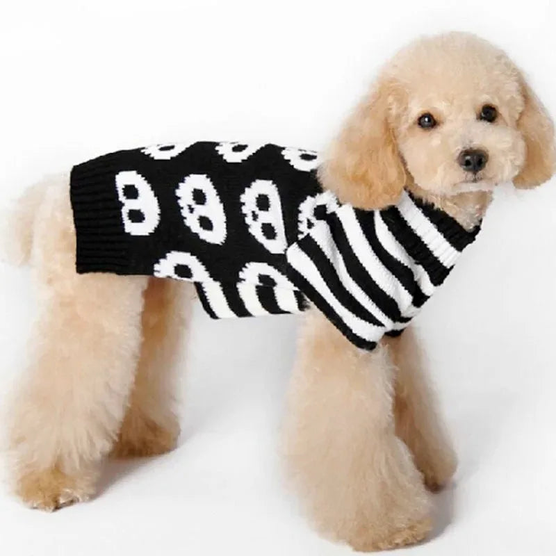 Dog and Cat Cosy Halloween Skull sweater