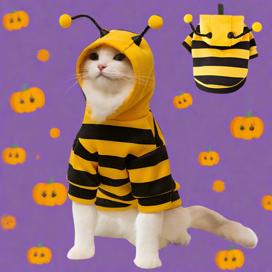 Cat and Dog Halloween Bee Costume