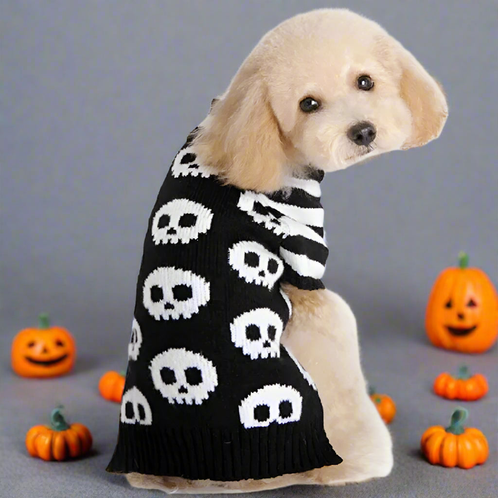 Dog and Cat Cosy Halloween Skull sweater