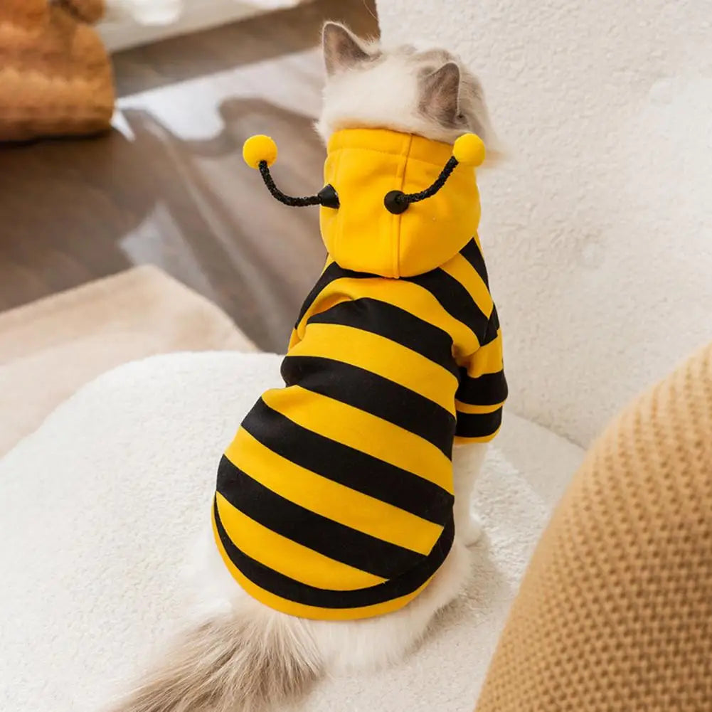Cat and Dog Halloween Bee Costume