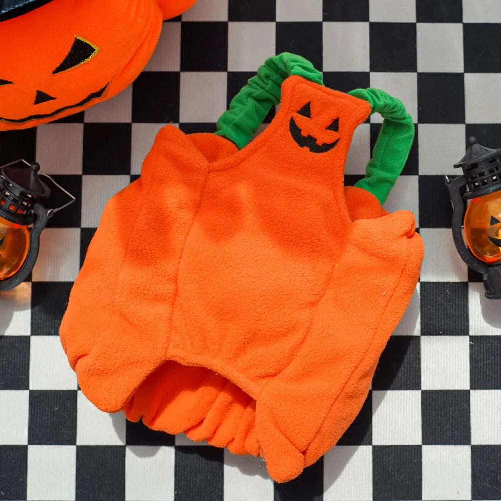 Fun and Fashionable Pet Halloween pumpkin Costume