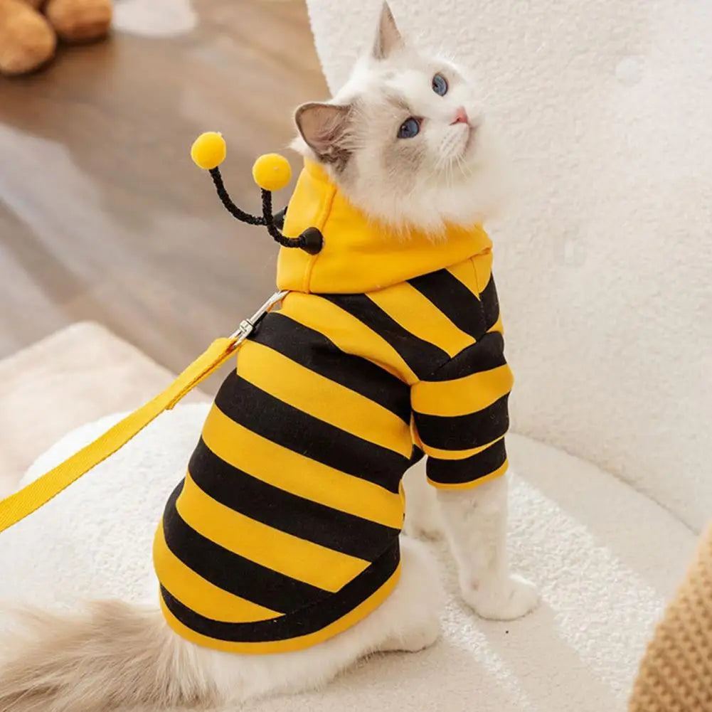 Cat and Dog Halloween Bee Costume