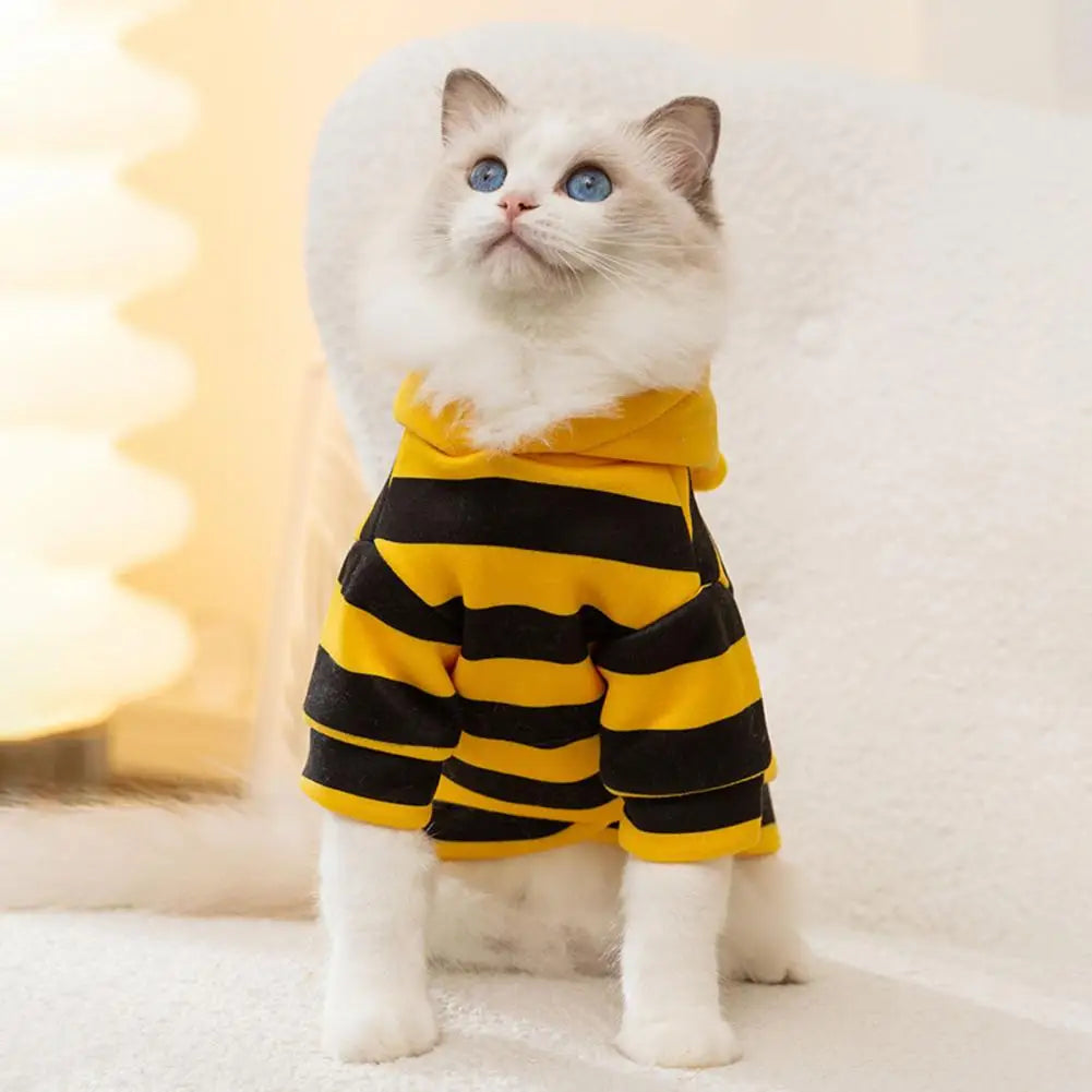 Cat and Dog Halloween Bee Costume