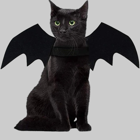 Cat and Dog Halloween Bat Wings