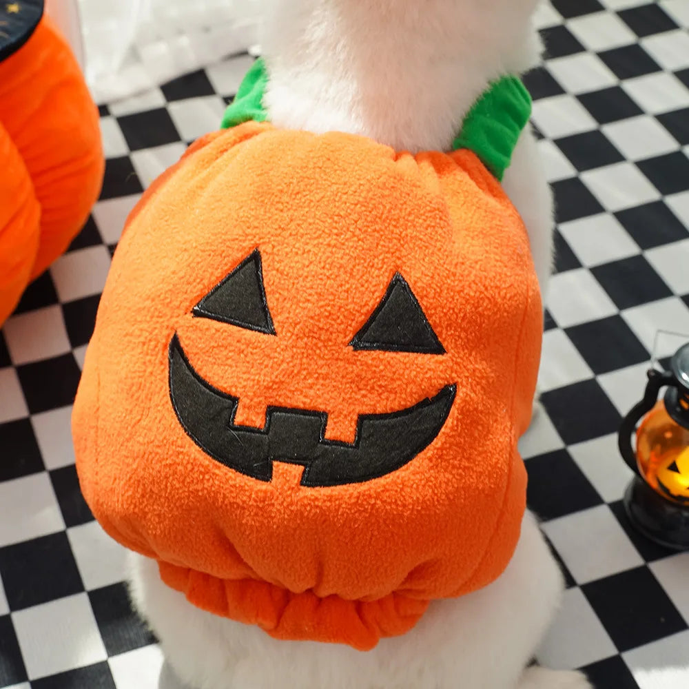 Fun and Fashionable Pet Halloween pumpkin Costume