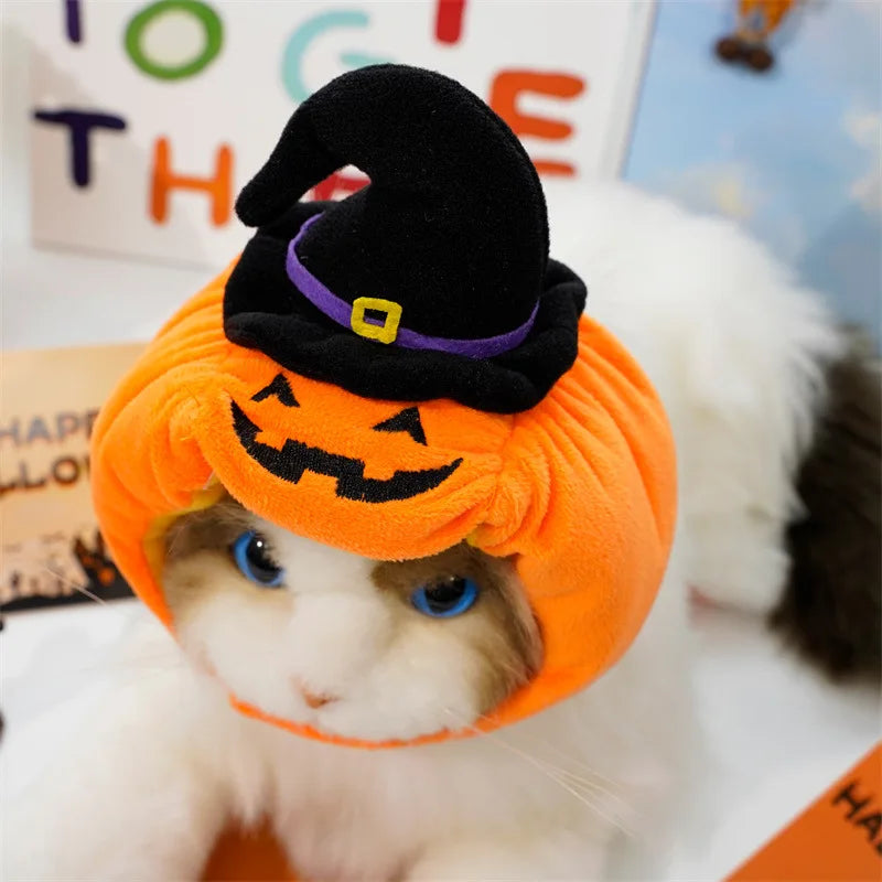 Fun and Fashionable Pet Halloween pumpkin Costume