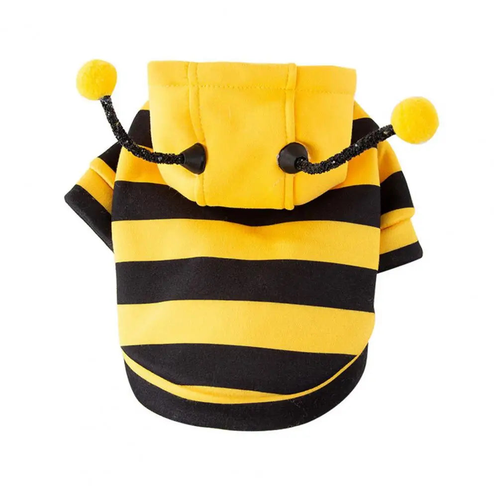 Cat and Dog Halloween Bee Costume