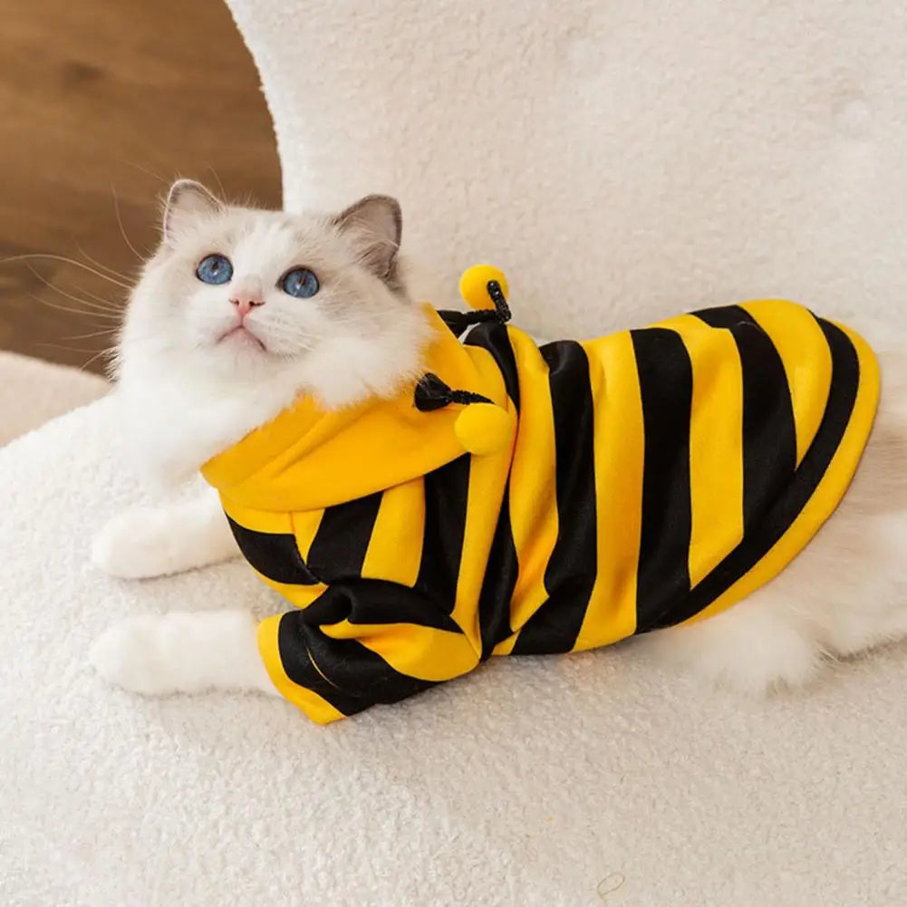 Cat and Dog Halloween Bee Costume